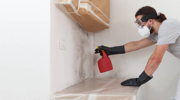 Professional Bathroom Mold Removal technician working in New Germany, MN