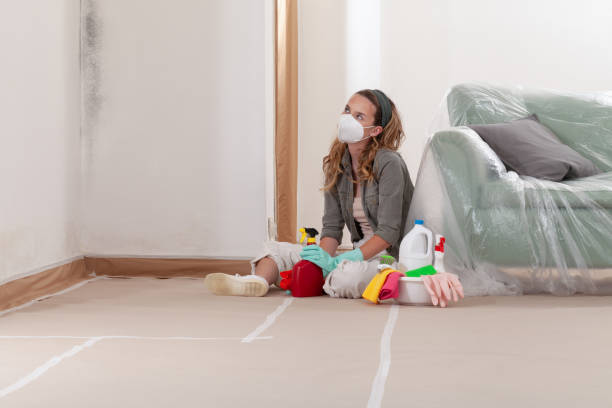 Reliable Bathroom Mold Removal contractor in New Germany, MN by WQB Mold Removal